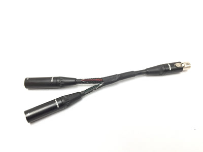 6 foot Mini XLR 4 Pin Female to Two Male Mini XLR 4 Pin Y-Cable - Plenum Rated